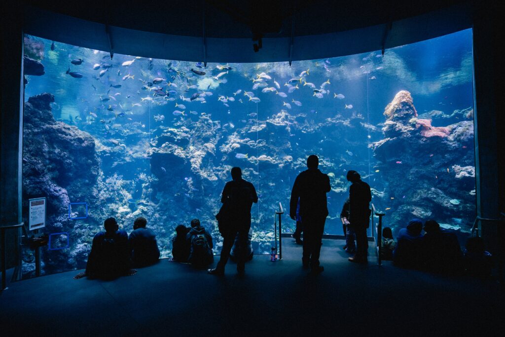 Underwater proposal in Dubai