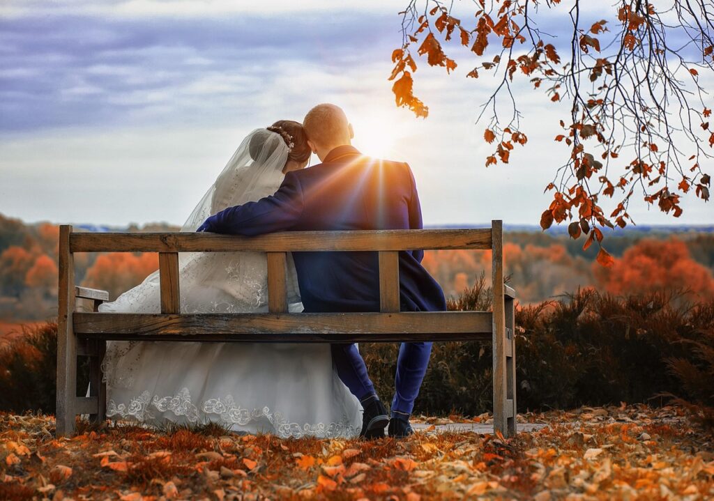 bride, wedding, the groom, love, autumn, wedding, wedding, wedding, wedding, wedding, love