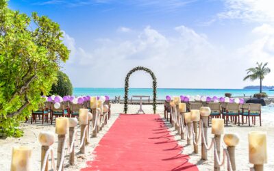 A scenic tropical beach wedding setup with a red carpet aisle and ocean views, perfect for destination weddings.